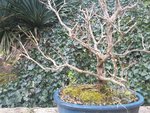 20160304_125026_resized_1.jpg