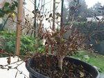 20160304_125103_resized_1.jpg