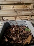 IMG_20160306_142623.jpg