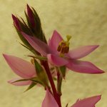 imgp3817_001.jpg