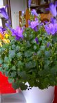 WP_20160307_003.jpg