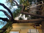 IMG_1591.JPG