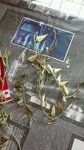 IMG_20160308_110603-600x1068.jpg