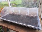 Voilà la mini serre qui accueille mes semis de tomates,un &quot;Sun tunnel&quot; placé dans la véranda.Le câble chauffant est placé au fond de la mini serre et le terreau le recouvre.Grâce à un thermostat le câble chauffant est réglé à 23°C.