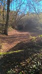 La marre à la fin de l'automne,elle aurai déjà du avoir de l'eau.