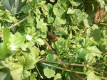 DSCF2324.jpg