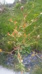 20160312_173503_resized.jpg