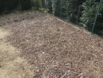 Un des emplacement aillant accueillit des haricots vert l'été dernier.<br />En fin de saison j'avais laissé les plants de haricots en place et les avait recouverts de 40 cm de feuilles mortes.<br />Grâce à l'hiver doux,tous cela s'est décomposé plus vite que prévu et la terre était de plus en plus à nue.