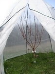 IMG_0527.JPG