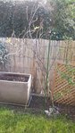 ok20160315_111525.jpg