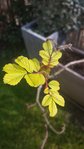 ok20160315_111549.jpg