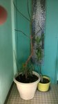 FormatFactoryWP_20160316_09_52_13_Pro.jpg