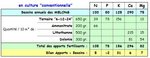 Fertilisation des melons - Sans compost en conventionnel.JPG