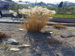 20160317_105744.jpg