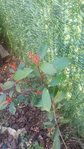 20160318_110934_resized.jpg