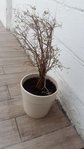 20160322_120405.jpg