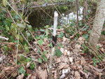 DSCF2344.jpg