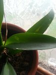 20160325_124419.jpeg