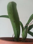 20160325_124727(0).jpeg