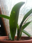 20160325_124655.jpeg