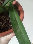 20160325_124752.jpeg