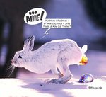 Lapin de pâques.jpg