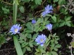 20160327_185249.jpg