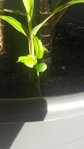 20160330_095858.jpg