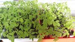 20160330_175331 - Copy.jpg