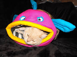 poisson.jpg