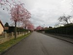 IMG_0501.JPG