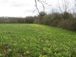 IMG_0479.JPG
