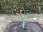 IMAG0928.jpg