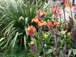 20150806_185915.jpeg