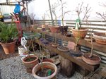 DSC01866.JPG