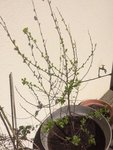 IMG_1161_1.jpg