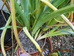 DSCN2706.JPG