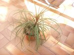 2016-04-09 16.12.04.jpg