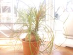 2016-04-09 16.12.50.jpg
