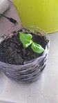 20160408_161727.jpg