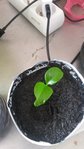 20160408_161733.jpg