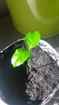 20160410_105816.jpg