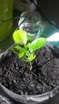 20160410_105824.jpg