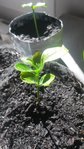20160410_105835.jpg