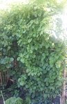 20160411_154738.jpg