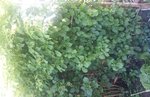 20160411_154738.jpg