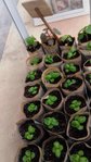 20160411_175302.jpg