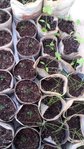 20160411_175343.jpg