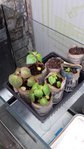 20160411_175054.jpg