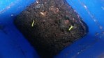 20160415_081555.jpg